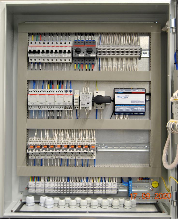 Panel 6